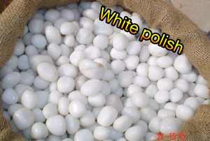 Blanc neige brillant Dolomite brûlé marbre roulé lisse grande taille galets naturels et galets pour l'aménagement paysager et les roches rugueuses - Product Image 4