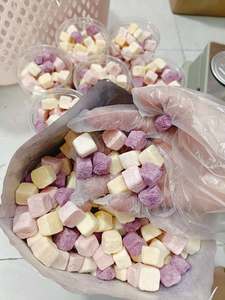 Cubes de yaourt lyophilisé du Vietnam aux saveurs variées pour les collations à emporter, les garnitures de desserts et les services de café - Product Image 5