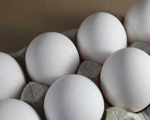 Vente en gros directe d'usine à prix compétitif, œufs de poule blancs de haute qualité, approvisionnement en vrac frais avec la meilleure offre de réduction - Product Image 2