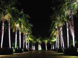 IP68 Rainproof 40W LED Landscape <b>Light</b> 4000LM 3000K Warm White Tiltable Outside Security Lamp <b>for</b> Deck Lawn <b>Pathway</b> - Product Image 2