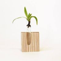 Vas Dinding Bambu Kayu Transparan yang Tahan Lama dan Ramah Lingkungan, Tempat Bunga Buatan Tangan untuk Dekorasi Interior Rumah, Gaya Modern Mewah