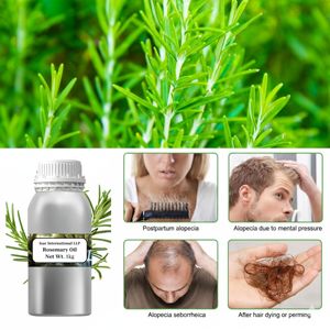 Huile Essentielle de Romarin 100% Pure et Naturelle (Feuilles) Marque Privée OEM – Fraîche, Nourrissante pour la Croissance des Cheveux et du Corps, et Aromathérapie pour Diffuseur - Product Image 3