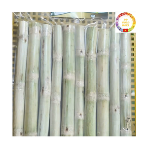 Palitos de Caña de Azúcar Congelados |   Caña de Azúcar Fresca y Dulce IQF Natural para Jugos de Bar de Playa, Proveedor Mayorista - Product Image 4
