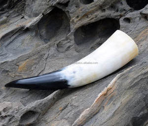 Cuerno para Beber de Oso con Acabado Natural en Color de Cuerno Natural, Estilo Animal, Técnica Pulida, Hecho a Mano, Ecológico, Regalo Empresarial - Product Image 6