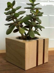 Lot de mini supports de plantes en bois pour table, modernes, faits à la main, écologiques, qualité supérieure, pour Ramadan, mariage, anniversaire, vente en gros à bas prix - Product Image 3