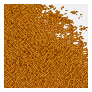 Graines de moutarde jaunes à prix réduit, qualité excellente, ingrédients naturels, graines pour applications alimentaires commerciales - Product Image 3