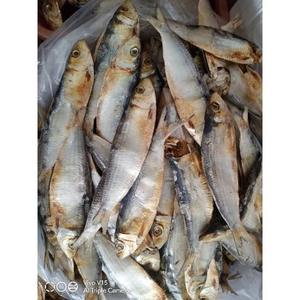 Pescado arenque seco entero envasado a granel, bajo en grasas, origen Vietnam - Product Image 3