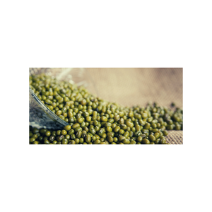 ถั่วเขียววินญ่า ราเดียตา (Vigna Radiata) แบบเม็ดเต็ม  ถั่วเขียวซาบุต แบบเม็ดเต็ม  เครื่องเทศแบบอินเดียดั้งเดิม - Product Image 3