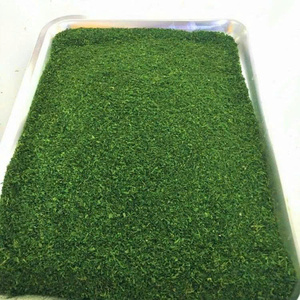 Export Grade Green Seaweed Powder Natural Ocean Origin <b>Raw</b> <b>Material</b> For Food Industry Bulk Supply Professional <b>Packaging</b> Support - Product Image 6