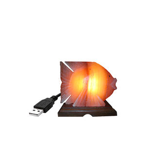 Lampe de sel de l'Himalaya de haute qualité avec base en bois sculptée sur mesure, chargeur USB, artisanat naturel, décoration pour la maison et la chambre - Product Image 2