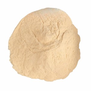 Extracto de Fruta del Monje Procesado con Cuidado, 50% en Polvo, Grado Alimenticio, Cultivado Naturalmente, Extracto Puro de Fruta del Monje en Polvo, Suministro a Granel, India - Product Image 5