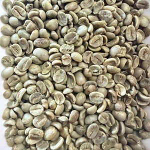 Grains de café vert Arabica vietnamien de haute qualité, calibre 18, non torréfiés, naturels et traités au miel, pour torréfaction, approvisionnement en vrac - Product Image 3