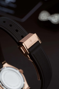นาฬิกาข้อมือทรงกลม Alexander Ferros 2251FR-19 กระจกแซฟไฟร์ สายยาง กันน้ำลึก 50 เมตร แฟชั่น สแตนเลสสตีล - Product Image 2