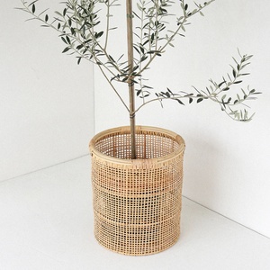 Accesorios para plantas de interior, cesta de ratán para plantas, maceta decorativa para guardar plantas verdes - Product Image 3
