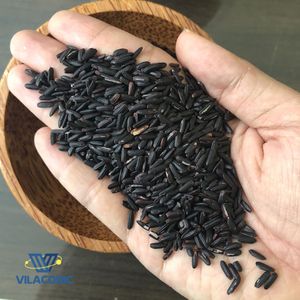 Arroz Negro Saludable de Primera Calidad al por Mayor, Paquete Premium Brasileño de 1 kg / 50 kg, Arroz de Calidad Premium - Product Image 3