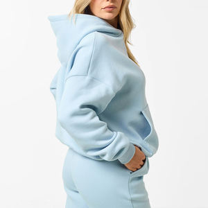 Conjunto de Sudadera con Capucha y Pantalones de Forro Polar Azul Claro de 2 Piezas para Mujer, Estilo Casual Holgado, Estampado de Letras, para Todas las Estaciones, Precio Económico - Product Image 2