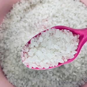 Arroz de Grano Corto de Primera Calidad, Arroz Parboilizado para Cocinar a Diario, Alimento Saludable, Precio Directo de Fábrica - Product Image 6