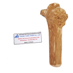 FSC-Certificated Natural Classic Dog Chew Stick Bone-shaped Coffee Wood Eco-Friendly Non-Toxic Halloween <b>Pet</b> <b>Toy</b> Made in Vietnam - Product Image 6