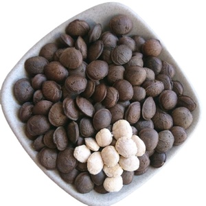 <b>Supplement</b> <b>Your</b> Child's Nutrition with Roasted Sacha Seeds for Export - Product Image 1