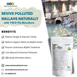 Polvo de Bioremediación T1B D-Flo para Canales de Agua Contaminada y Descomposición de Residuos Orgánicos - Product Image 3