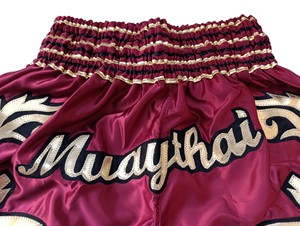 Shorts de boxe brodés tendance, logo personnalisé, shorts de Muay Thai pour hommes, shorts de boxe imprimés pour hommes, shorts de MMA - Product Image 6