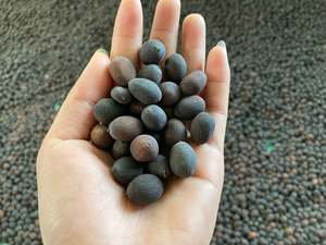 Semillas de loto secas de exportación a granel Premium Marca Toan Tai Loc Phat Precio competitivo Pedidos grandes ¡Contáctenos Cotización hoy! 12 - Product Image 6