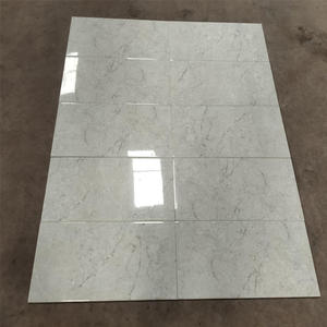 Carreaux muraux numériques en céramique de luxe 300x600 mm, aspect moderne élégant, carreaux muraux en céramique pour salle de bain et cuisine - Product Image 5