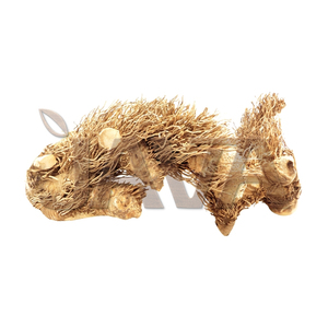 Suministros Ecológicos y Duraderos para Reptiles y Anfibios, Rama de Madera Grande para Escalar, Tipo Raíz de Araña, para el Cuidado de Reptiles, de Java - Product Image 1