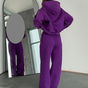 Sweat-shirt à capuche surdimensionné pour femme, couleur unie violet, en molleton de coton, manches longues, vêtement décontracté d'automne - Product Image 6