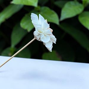 ดอกไม้ไม้โซล่า ยี่ห้อ VADEE SOLA WOOD FLOWER ทำมือ  ดอกดาเลียสีพีชครีม  ขนาด 8.5 ซม.  แกนไฟเบอร์เซสบานียา - Product Image 4