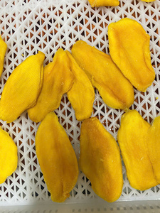 Mango Deshidratado Premium, Fruta Seca, Snack de Mango para Supermercados, Estilo Tropical, Suave y Masticable, Exportación a Granel, Origen Vietnam - Product Image 3
