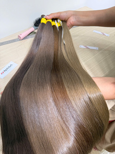 Cabello Humano Vietnamita Virgen de Alta Calidad, Modelo Andy de Nasa Hair, Cabello Liso Natural a Granel, Longitud Completa 40cm/80cm, 300g, Sin Procesar - Product Image 1
