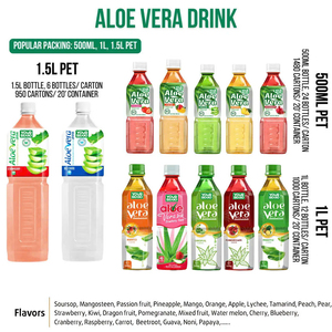 Bebida de Puré de Aloe Vera 100% Natural Premium de 1 Litro, Sin Azúcar, Sabor Naranja, Servicio OEM ODM, Marca Privada, Precio Económico, Más Vendida - Product Image 6