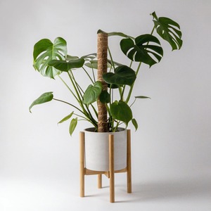 ก้านเสามอสแบบพรีเมี่ยมไม้เสาต้นมะพร้าวแบบเป็นมิตรต่อสิ่งแวดล้อม - Product Image 5