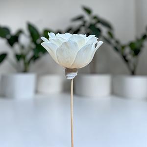 ดอกไม้ไม้โซล่า VADEE SOLA WOOD FLOWER ทำมือ งานฝีมือแบบยั่งยืน คลาสสิก ดอกคาเมลเลียอัลบา ขนาด 8.5 ซม. ก้านทำจากเส้นใยพืชเซสบานีอา - Product Image 2