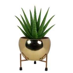 Maceta de Metal con Forma de Manzana Chapada en Oro, Macetero Decorativo de Lujo para Plantas de Interior, Elegante Soporte para Flores con Acabado Dorado para Mod - Product Image 1