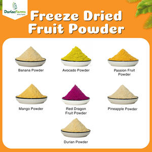 Mango Liofilizado Sin Azúcar de Alta Calidad de Vietnam - Sabor Auténtico, Dulzura Natural, Fruta Seca Saludable, Mejor Precio al por Mayor - Product Image 5