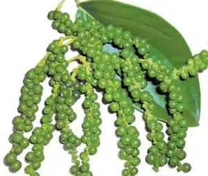 พริกเขียวแช่แข็งเกรดพรีเมี่ยมสำหรับใช้ทำอาหารมีกลิ่นหอมธรรมชาติที่แข็งแกร่งและรสเผ็ดจากเวียดนาม - Product Image 3