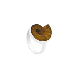 แหวนเงินแท้ 925 คุณภาพสูง ดีไซน์คลาสสิก ทรงวงแหวนแบบ Bezel Setting ประดับด้วยหิน Ammonite รูปทรงหยาบธรรมชาติ เหมาะสำหรับผู้ชายและผู้หญิง สวมใส่ได้ในโอกาสต่างๆ - Product Image 3