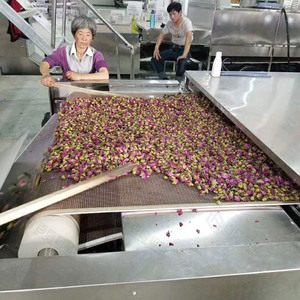 Baixin automático microondas esterilizador cinturón túnel microondas foto vegetal pimienta maní frijol nueces secadora máquina - Product Image 6