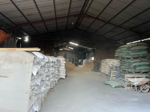 Factory Price Joss Powder Makko Powder for Incense Sticks Making Direct & <b>Cheap</b> Bulk Export for India Market - Product Image 5