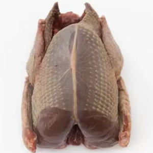 ราคาไม่แพง คุณภาพสูง เนื้อนกพิราบแช่แข็งพร้อมส่งออก สำหรับขายส่ง - Product Image 5