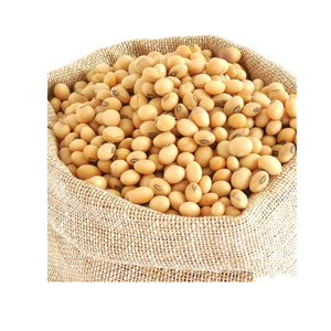 Soja jaune non OGM de haute qualité (8,0 mm) - Product Image 1