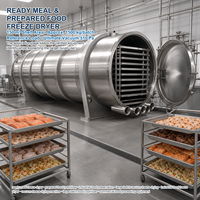 Industriële fruit- en groente-vriesdroogmachine FFD-100, ca. 100 m² 1000 kg partij voor de verwerking van ingrediënten en snacks