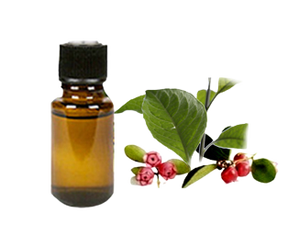 น้ำมันวินเทอร์กรีนออร์แกนิคแท้ 100% ใหม่ล่าสุด |   ได้รับการรับรองมาตรฐาน GMP |   กลั่นด้วยไอน้ำ |   การใช้งานอเนกประสงค์ |   ผู้ผลิตจำนวนมากจากอินเดีย - Product Image 5