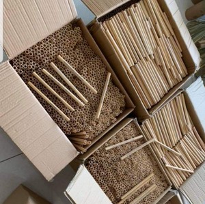 Pajitas de bebida de bambú natural de Vietnam 100% accesorios de barra natural para fiesta para té de burbujas - Product Image 5