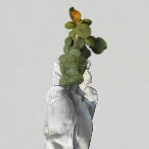 Vente en gros de pierres brutes naturelles de Prehnite, spécimen minéral de cristal vert brut en vrac pour la guérison et la décoration - Product Image 5