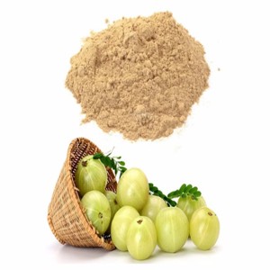 100% Pure Amla Powder Natural Health Food Grade Amla Fruit Powder Bulk Supplier from India for Hair Growth and Skin Care - Product Image 1