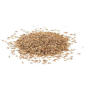 Semillas de Comino Indio Enteras, Cuidadosamente Seleccionadas para Suministro a Granel, Exportaciones Internacionales de Especias e Industria Alimentaria Comercial - Product Image 6