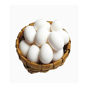 ถาดไข่พิมพ์ลายสีขาวสำหรับไข่ไก่สดสีน้ำตาล 12 ฟอง - Product Image 3